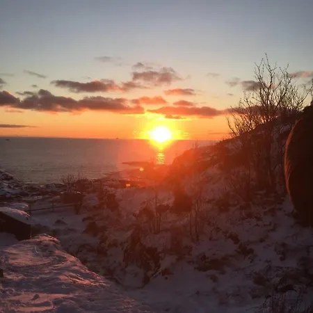 A I Lofoten Nyaraló